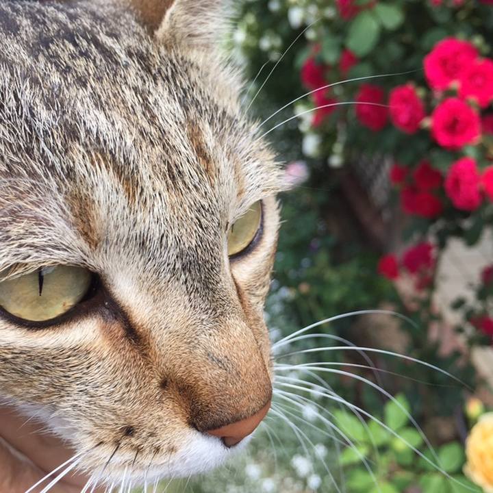 61df21b8 6b2c 41c9 9b1d 675f6cbe1a21 1558226315280