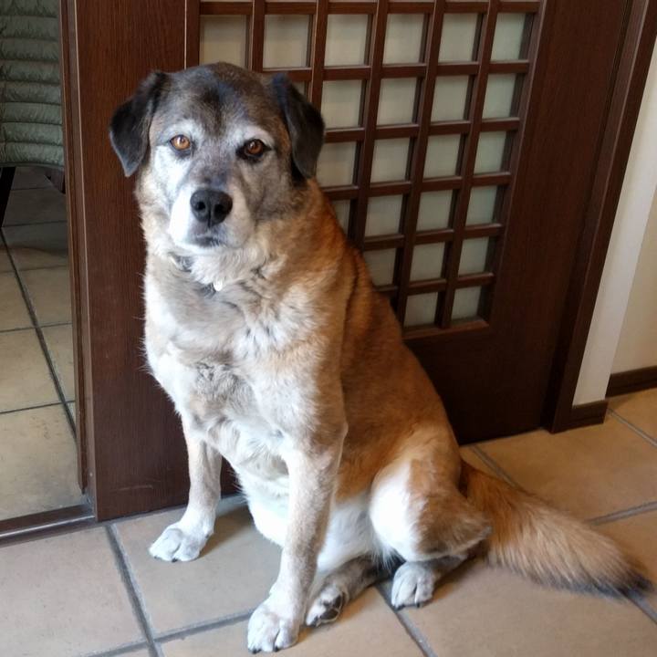 61df45f2 f594 4ac8 afb5 07cde68696b0 1552894557207