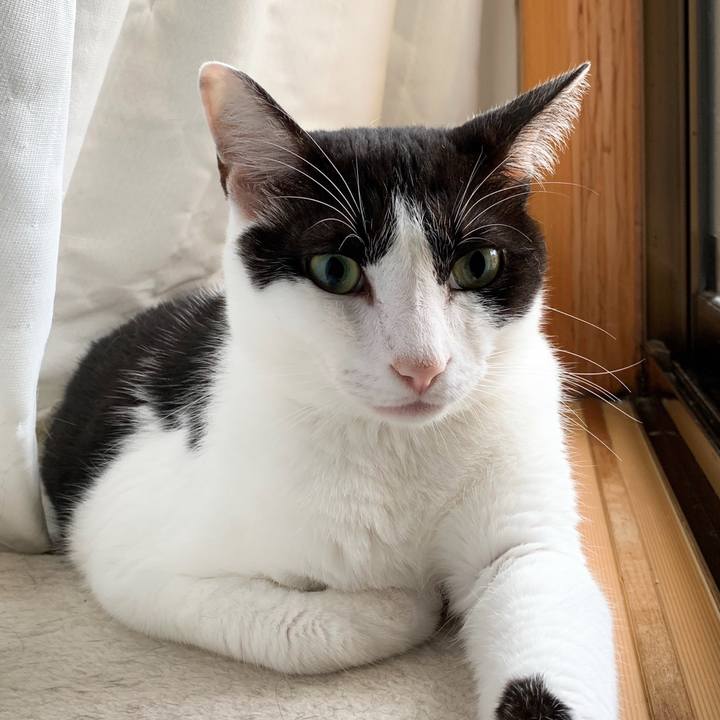 61df716e 97f4 4e78 96ea 74d1bd3b0dca 1568683733976