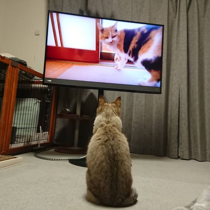 61dfaf9c 5d21 43fa 81c4 68bba2e349d5 1604321220995