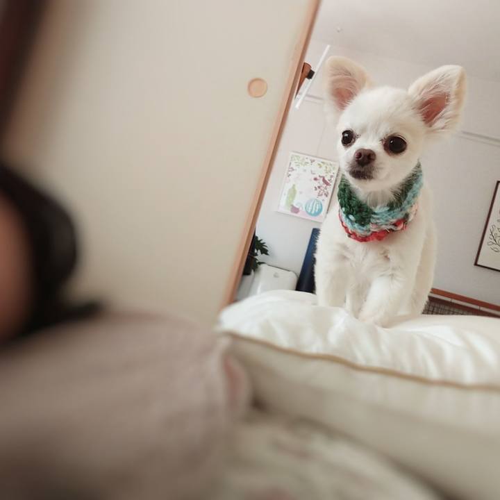 61dfb680 6583 4e90 b78c ec5a3ba5e314 1578888671549