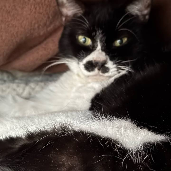 61dfc073 49f7 42a4 ab70 0d3a3564a891 1736919832462