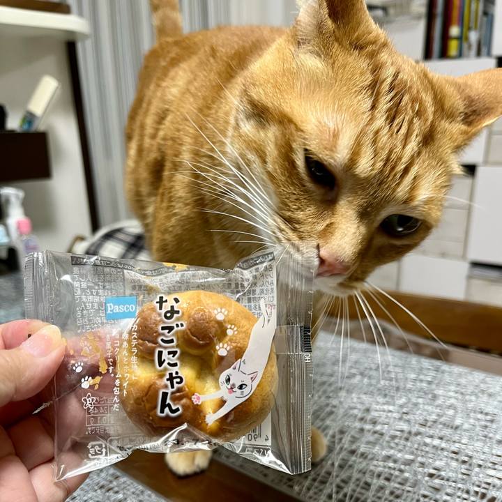 61dfdbc2 989f 4493 8d80 93597803236b 1686402177238