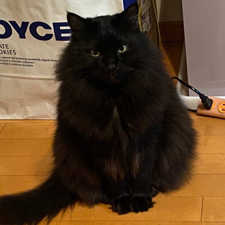 61e01d42 c4f2 4007 98d8 9fe02ca8f519 1576853267705