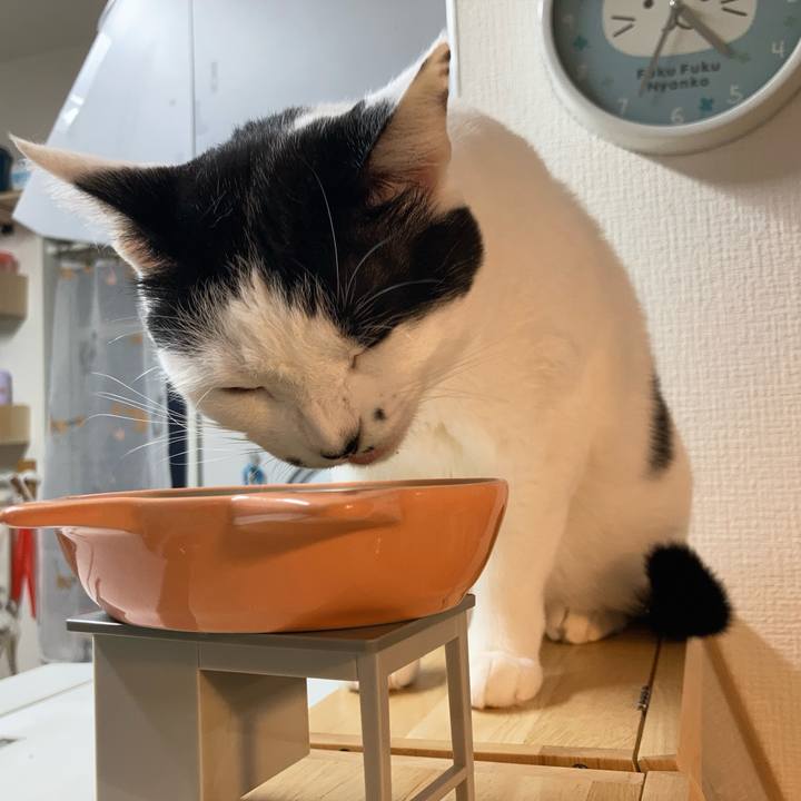 61e04e16 e6fb 47c4 81f8 93c459fdcf9d 1759953205629