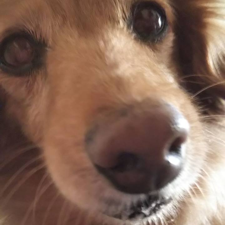 61e08f4e 6aec 4086 b17d cac78c8667c2 1630483060556