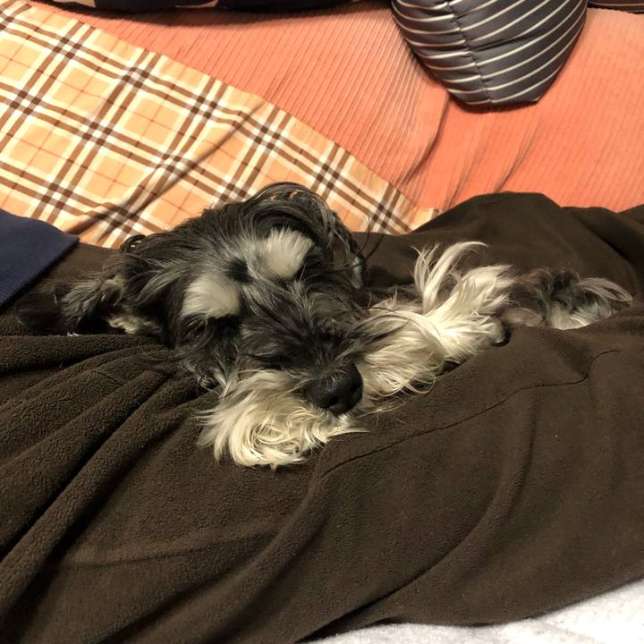 61e0d598 be13 4768 87b3 e58e1f3bd14b 1683988262521