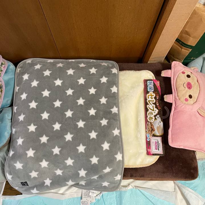 61e0e300 4cd1 4e24 bc6b b6e840e41992 1639308836980