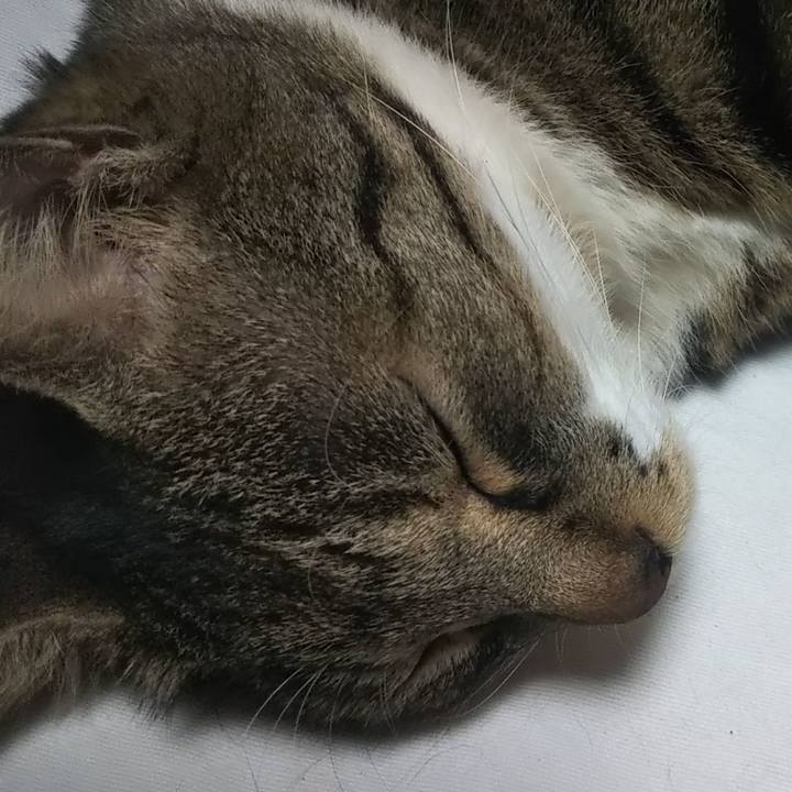 61e1075f 9c7d 41c9 a859 2cd1fae31df5 1633947021224