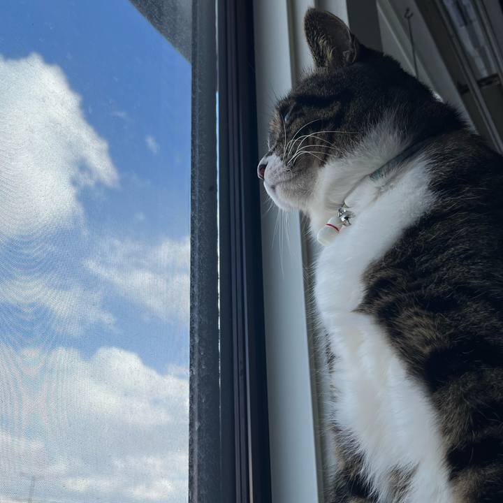 61e139ea 9506 4c00 9d1a 5f88988b1849 1778022940459