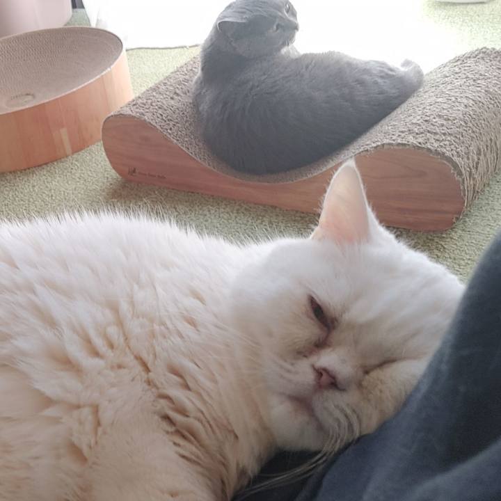 61e1612e da42 4e23 9b9a d358ffc1762c 1717805795454