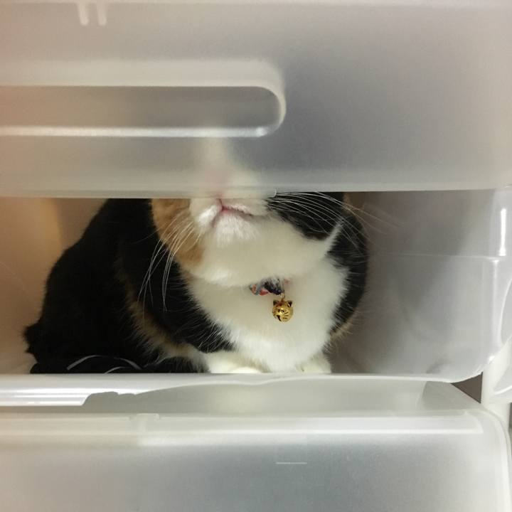 61e17162 9832 47bc 8de9 3282b452accc 1515156042574