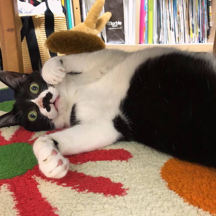 61e187d4 296b 46c8 967c b45c2cef2164 1560264451416