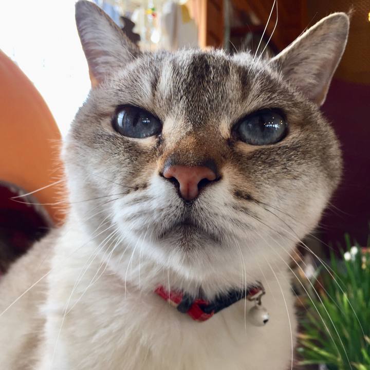 61e1bef5 2226 4b1f 8e60 a7e83c4f860d 1555154402071