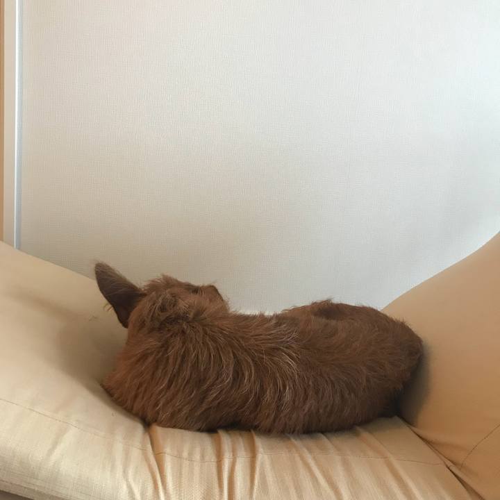 61e1e781 3747 4b26 9786 0103221af042 1535517063000