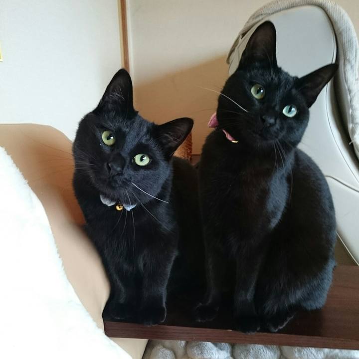 61e1eb92 a02e 4197 9ccf 414c6e19f4ee 1521596892753