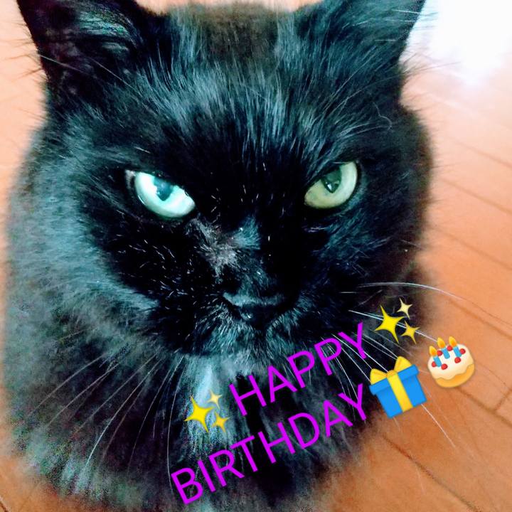 61e21099 2dbc 4545 81a8 42512265fa0c 1623662474747