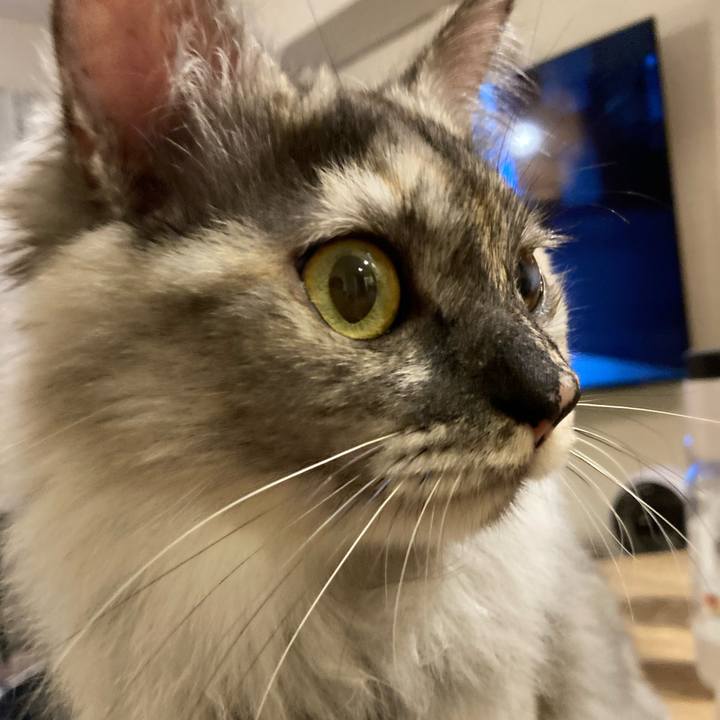 61e2195b 2d8a 41dd 91d6 3c174303754e 1708168165894