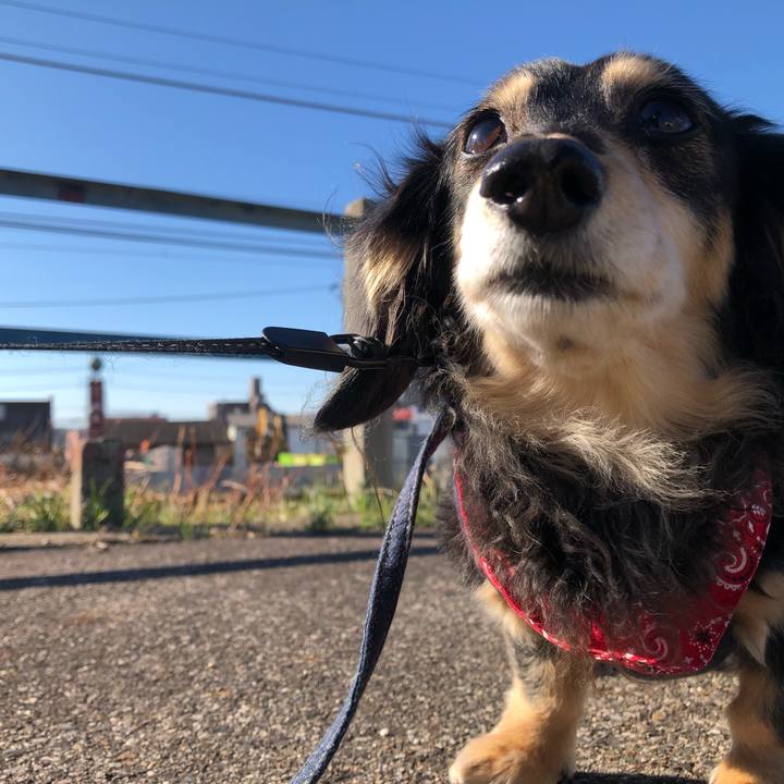 61e234b6 3634 4253 9d88 0d0709b189fc 1614731124766