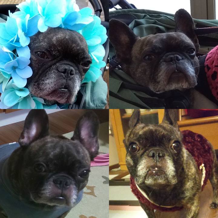 61e23684 0a28 4727 bf44 db4d34f8e588 1701484489643