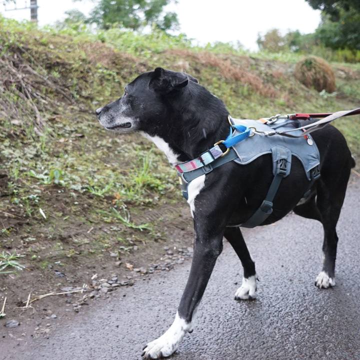 61e25a3c 2b2e 4436 a47b c717c59e137e 1761090203981