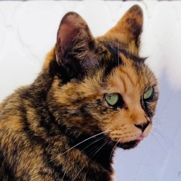 61e295b3 b875 49d1 87a0 7df79a046cea 1728446825712