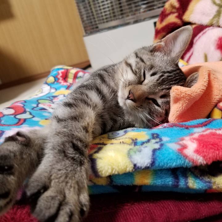 61e2f2c6 0fa4 42bd 867e 0e89f675b16d 1667042387961