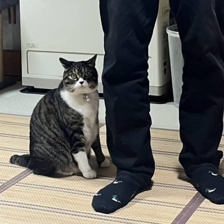 61e2f94e 64c7 4c59 98f4 ffd7b5975a80 1770253745640