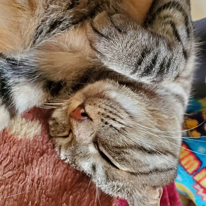 61e2fa66 eef9 4333 9a04 e867972d9fea 1708092592991