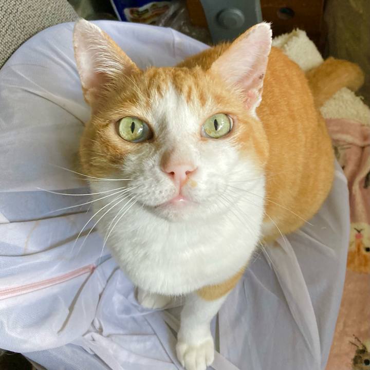 61e32337 6fdc 4ca3 8522 3bd57de3355c 1658906749112