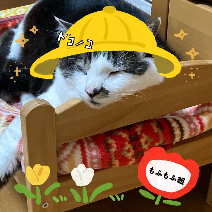 61e34f90 da0b 4369 8b34 bce641d9e7f8 1712240133145