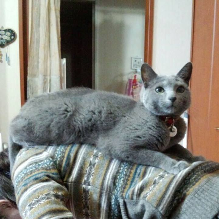 61e37571 358d 4bfb adbc 82f0265c39b3 1523312281100