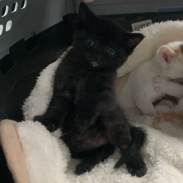 61e3861f 5937 4d6c 9523 70dc49336dba 1637663764291