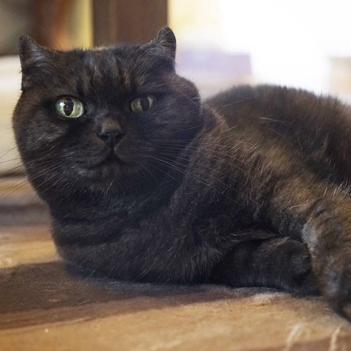 61e38b69 2f26 493a 8a07 288f6ae69831 1575268840621