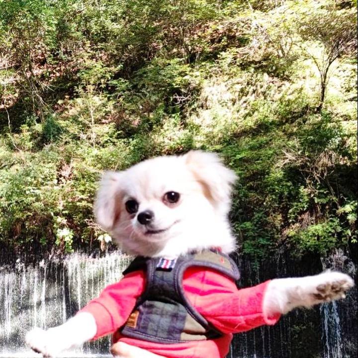 61e399d9 30e5 48e3 892d fbd73cf70456 1699805757671