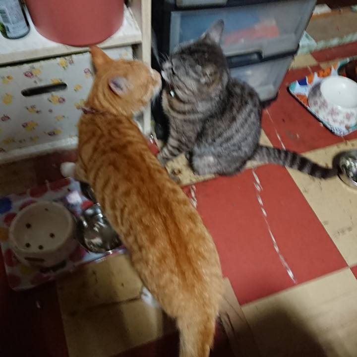 61e3aecd dce6 4359 a67b 24f47ee08bea 1563565779588