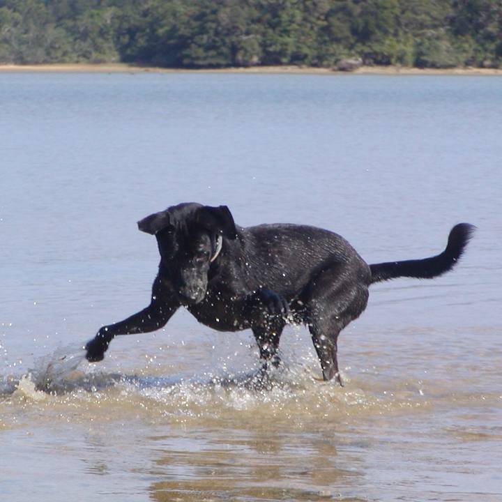 61e3b6d4 1cbf 4760 9a3d 2a210da1e9fc 1523251932017