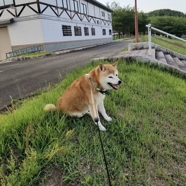 61e3fbe4 4008 476d 9c9e 82f05b8837fc 1657183883710