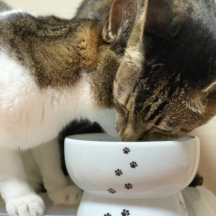 61e43c6c 65e3 4e2b 93b1 f22766cb923d 1594688291376