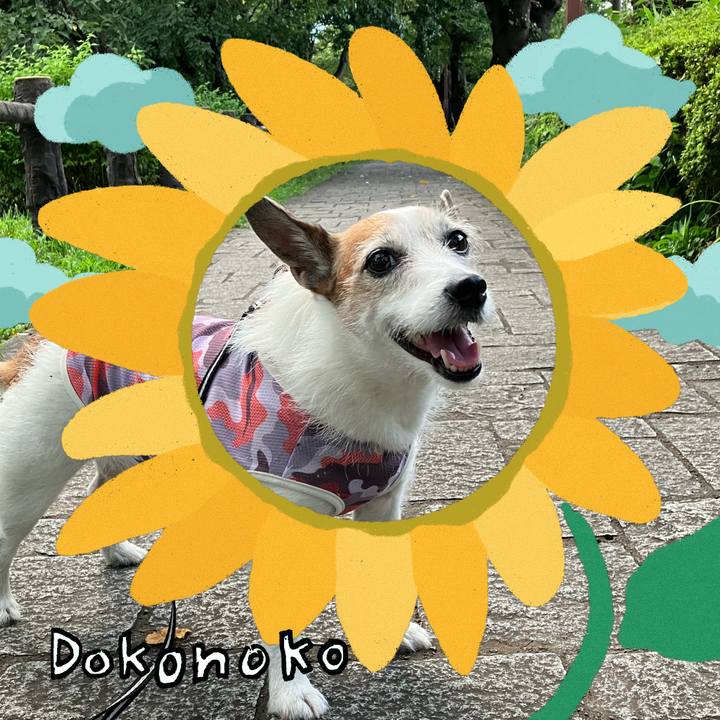 61e44ead 858a 4b78 a12e 990dc6360f5f 1723336247061