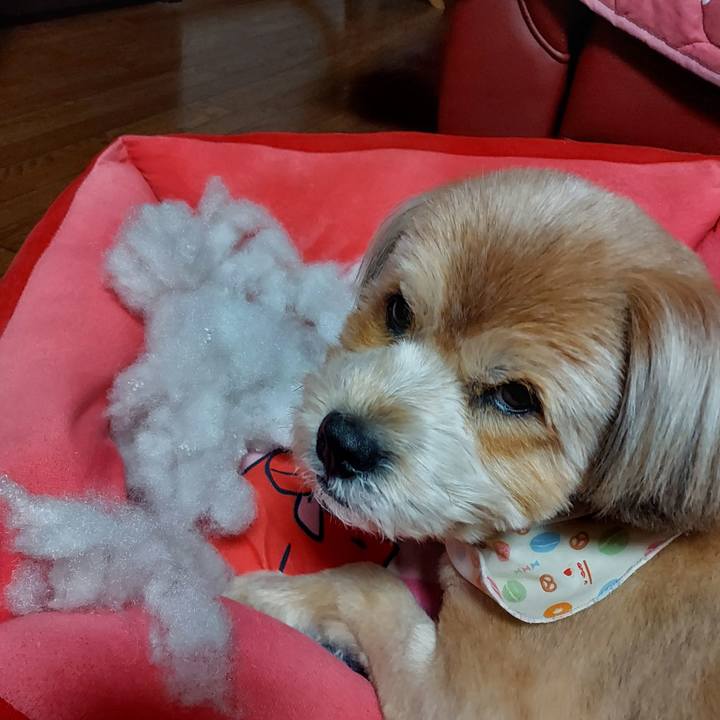 61e47ab3 73cc 4484 aaab 7ba54fa7b232 1618658846910