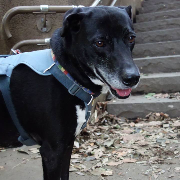 61e493e9 2675 4e07 a32f 8dc927f286c0 1711844860902