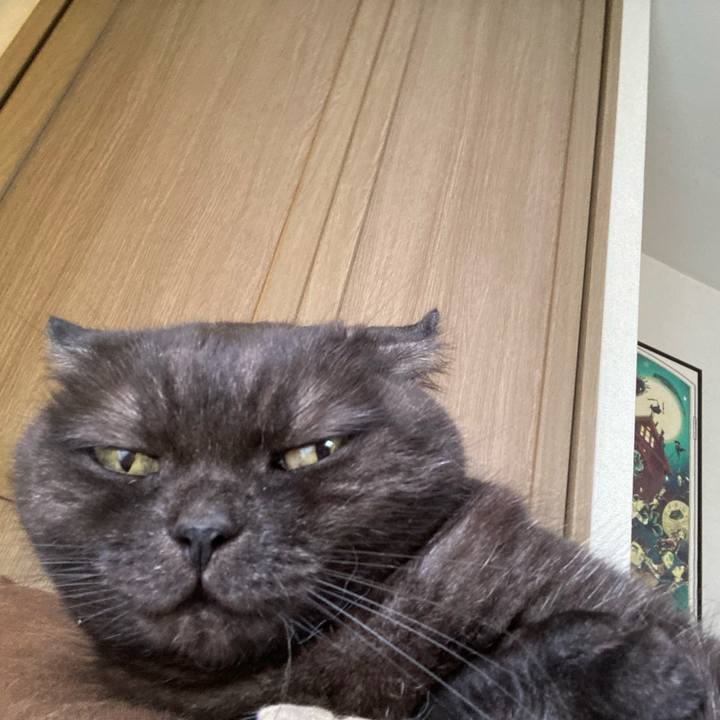 61e49b92 d744 45b7 b3fe e9a625a47ec9 1592355660131