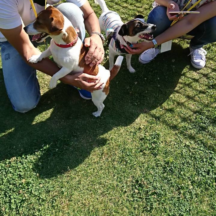 61e4aa96 e2f2 420f 9ce9 aa3570b71cb2 1527930031067