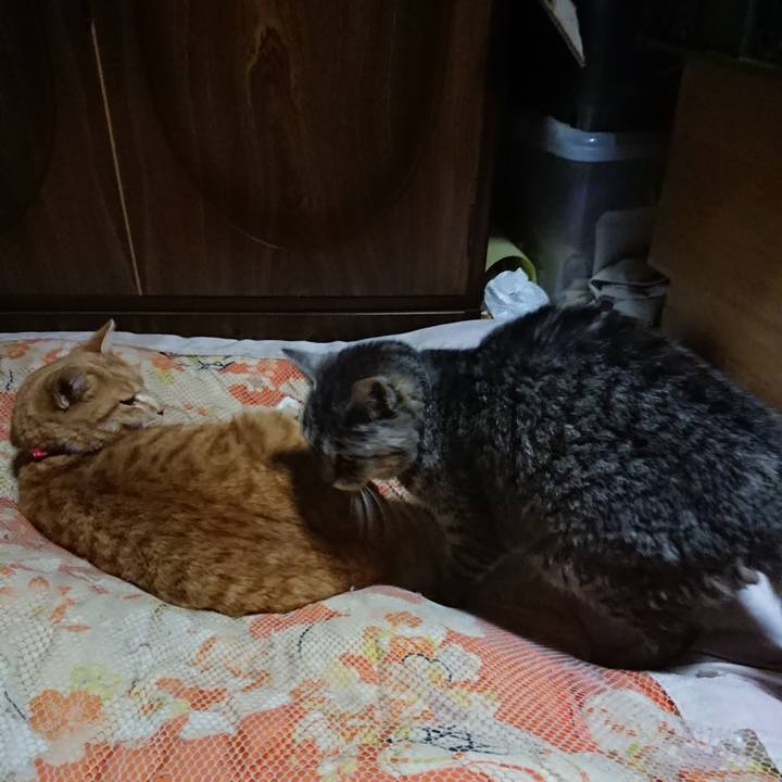 61e50158 c8a1 4b93 8fd9 e4167759c5b3 1577271973027