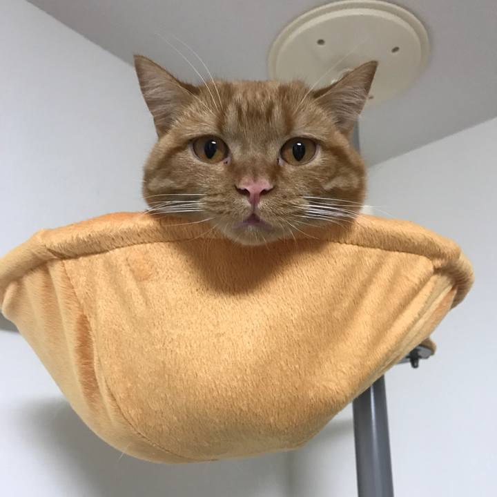 61e51051 475c 4705 a599 7f3efa07deec 1519691549486