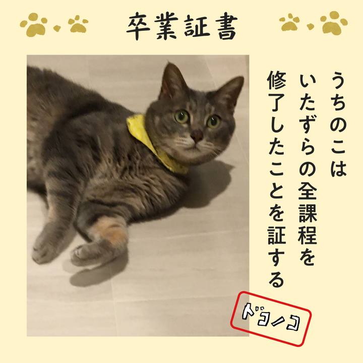 61e54cbd 56f8 4ed2 b2d0 53182bf2fae8 1772443490155