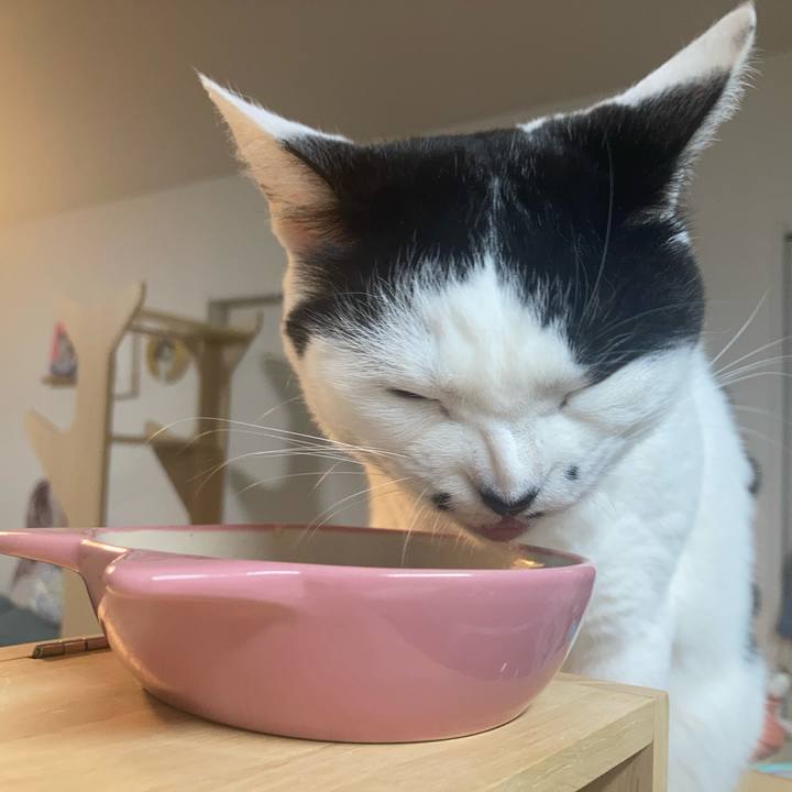 61e564f4 f479 40a9 a574 ab5a152d62db 1772658004529