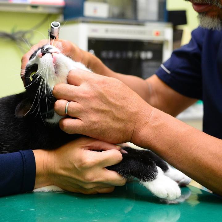 61e5662c c032 4b26 aab9 9df0f9dca346 1537043851606