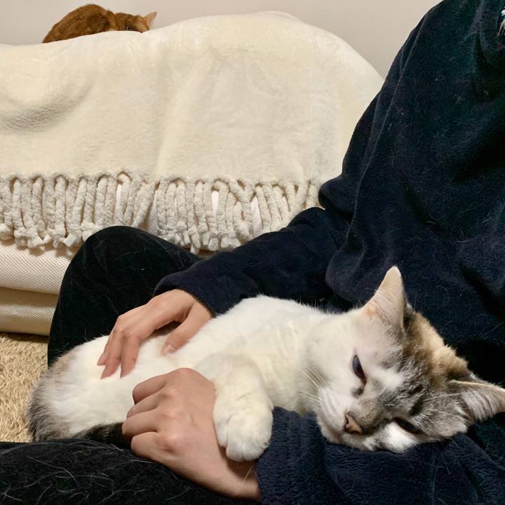 61e57bc7 1e14 43ec ad11 226974aba447 1585149743538